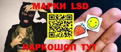 прущие грибы Будённовск