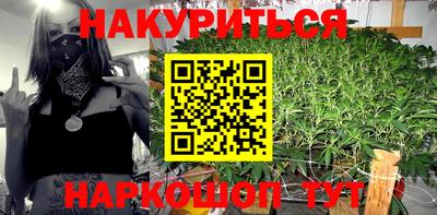 прущие грибы Будённовск