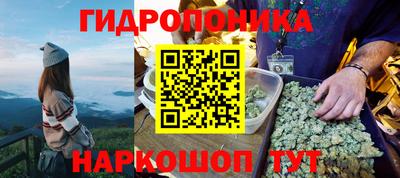 прущие грибы Будённовск