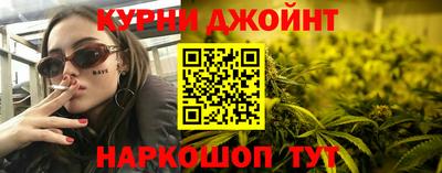 прущие грибы Будённовск